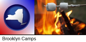 Brooklyn, New York - roasting marshmallows on a camp fire