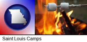 Saint Louis, Missouri - roasting marshmallows on a camp fire