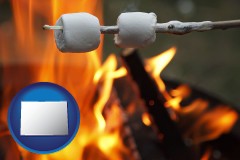 colorado map icon and roasting marshmallows on a camp fire