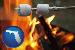 florida map icon and roasting marshmallows on a camp fire