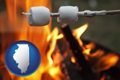 illinois map icon and roasting marshmallows on a camp fire
