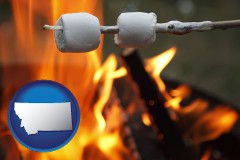 montana map icon and roasting marshmallows on a camp fire