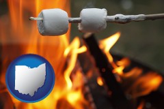ohio map icon and roasting marshmallows on a camp fire
