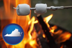 virginia map icon and roasting marshmallows on a camp fire