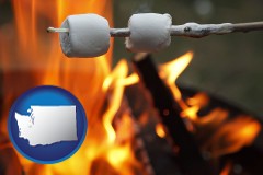 washington map icon and roasting marshmallows on a camp fire