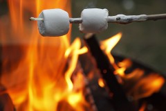 roasting marshmallows on a camp fire