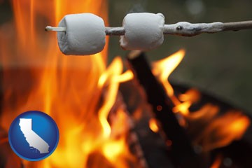 roasting marshmallows on a camp fire - with California icon