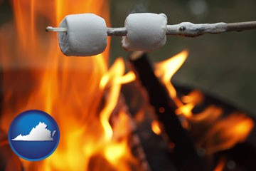 roasting marshmallows on a camp fire - with Virginia icon