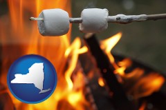 roasting marshmallows on a camp fire - with NY icon