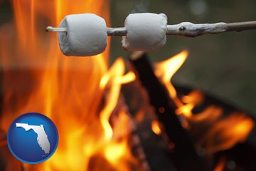 roasting marshmallows on a camp fire - with Florida icon