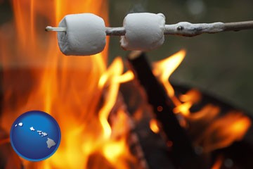 roasting marshmallows on a camp fire - with Hawaii icon